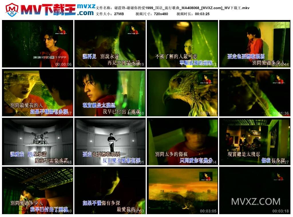 谢霆锋-谢谢你的爱1999_国语_流行歌曲_MA408068